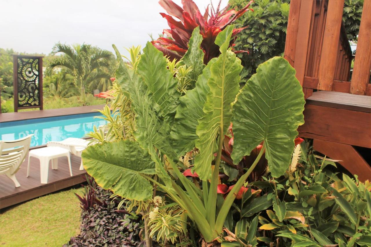 Muri Vista Villas Đảo Đảo Rarotonga Ngoại thất bức ảnh